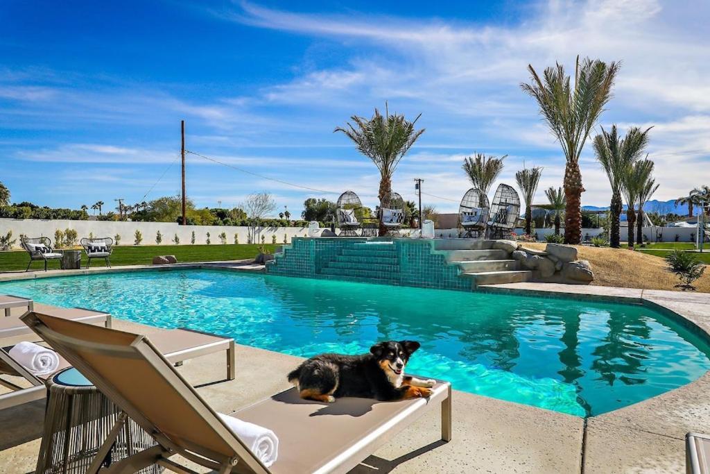 Delaware Estate - Expansive Backyard, Pool/Spa, Games, Great For Entertaining! Villa Palm Desert Exterior photo